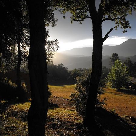 Camping Maçanet de Cabrenys Eksteriør billede