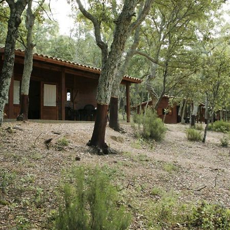 Camping Maçanet de Cabrenys Eksteriør billede