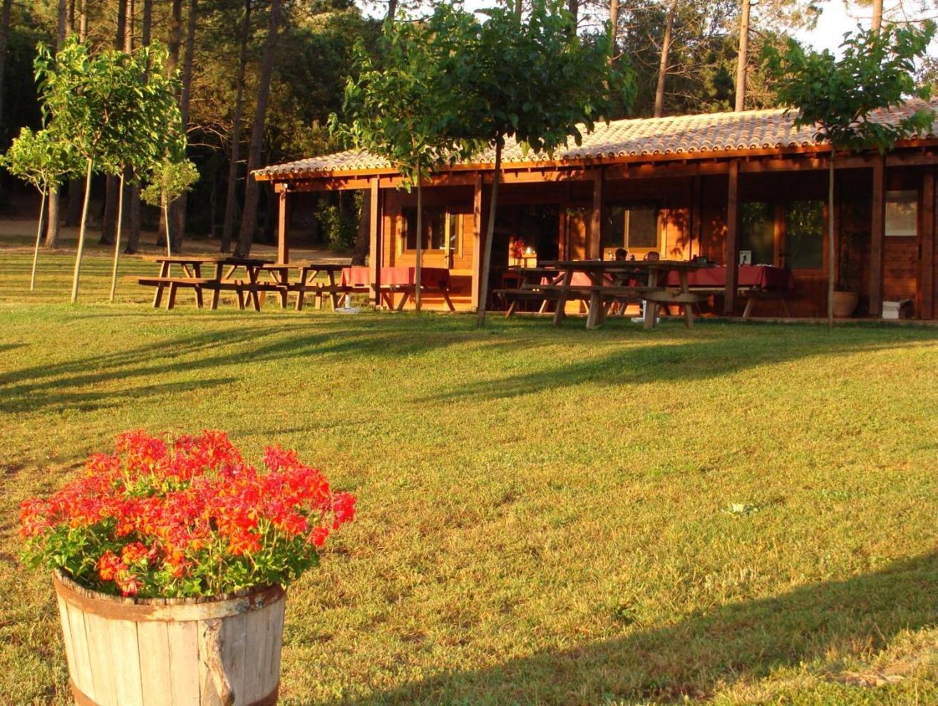 Camping Maçanet de Cabrenys Eksteriør billede