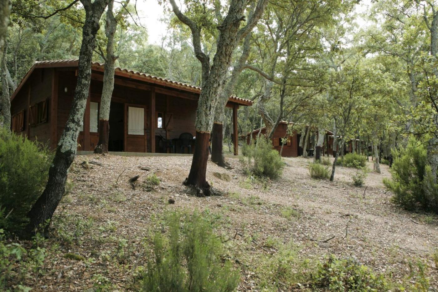 Camping Maçanet de Cabrenys Eksteriør billede