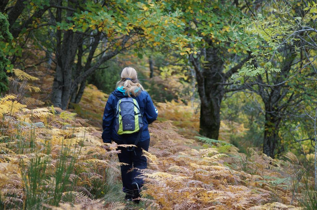 Camping Maçanet de Cabrenys Eksteriør billede