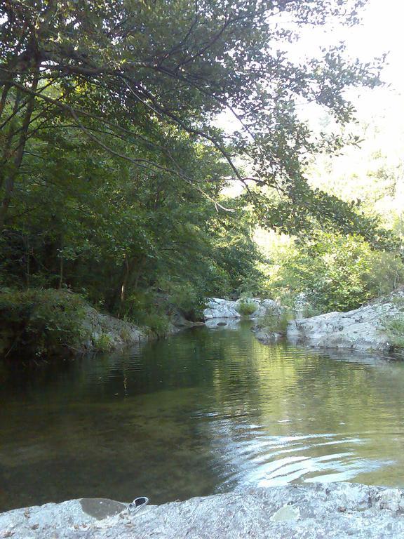 Camping Maçanet de Cabrenys Eksteriør billede