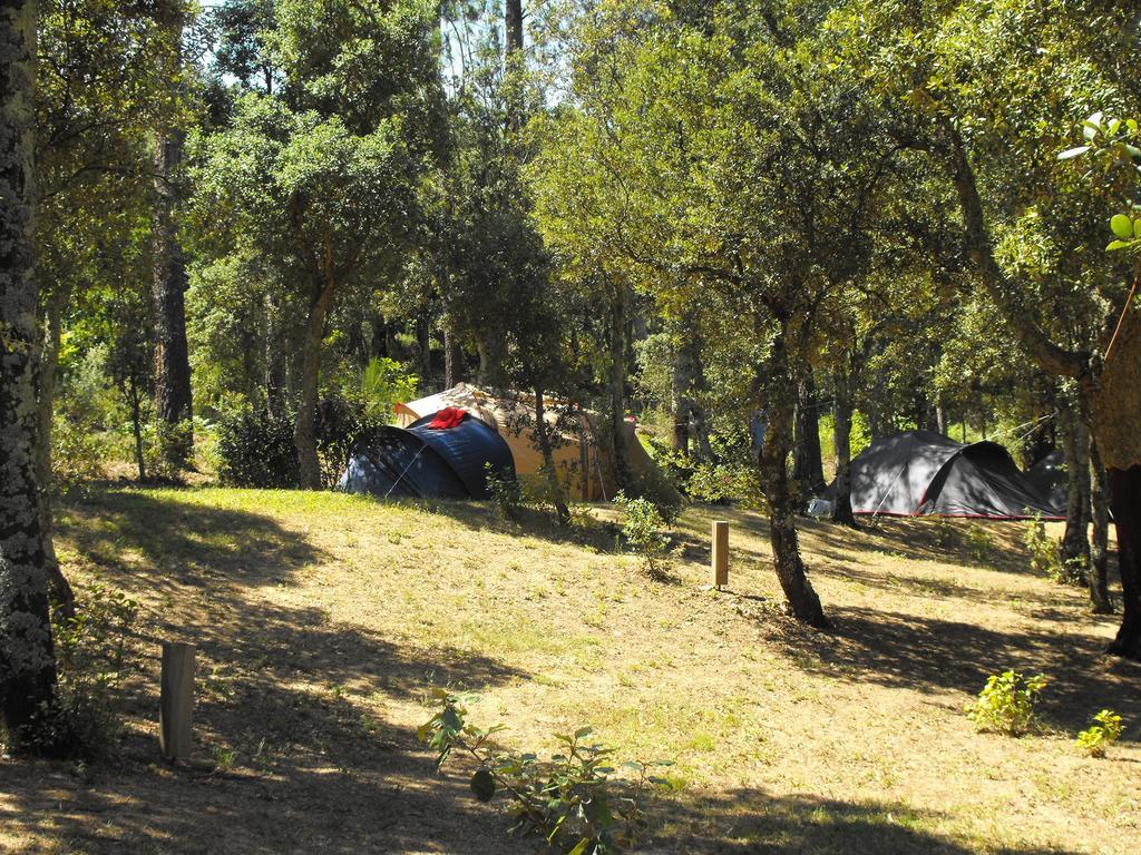 Camping Maçanet de Cabrenys Eksteriør billede