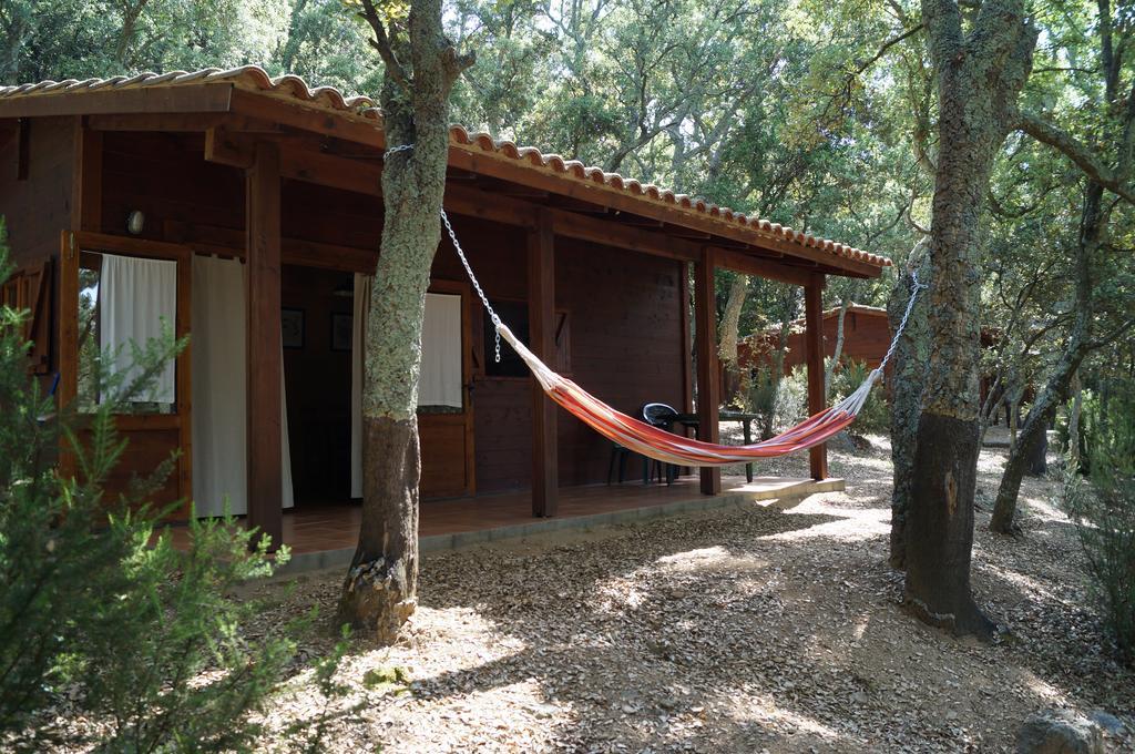 Camping Maçanet de Cabrenys Eksteriør billede